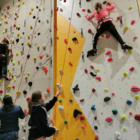 Ein Kind klettert an einer Indoor-Kletterwand und wird dabei mit einem Seil gesichert.