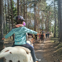 Ein Kind von hinten auf einem Pferd im Wald.